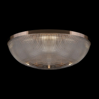 Накладной светильник Maytoni Coupe C046CL-06G