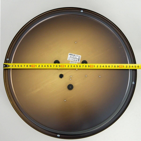 Настенно-потолочный светильник Citilux Бостон CL709503N 