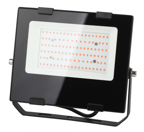 Фитопрожектор для растений светодиодный ЭРА FITO-50W-RB-LED для цветения и плодоношения красно-синего спектра 50 Вт Б0046368 