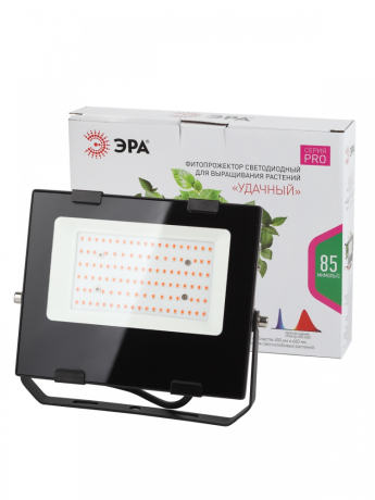 Фитопрожектор для растений светодиодный ЭРА FITO-50W-RB-LED для цветения и плодоношения красно-синего спектра 50 Вт Б0046368 