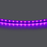 Лента цветного свечения 24V, фиолетовый Lightstar Lightstar 420518
