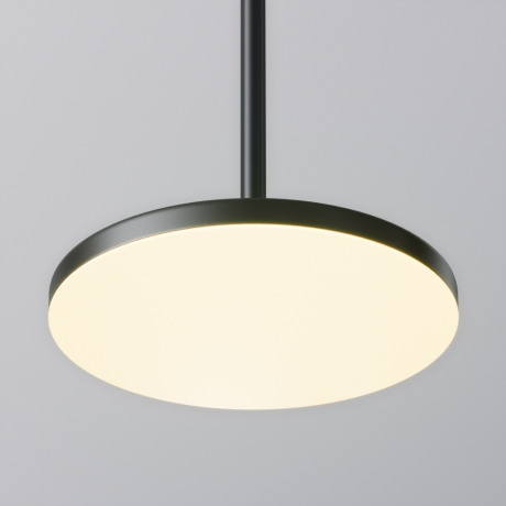 Подвесной светильник Maytoni Technical Plato P076PL-L12W3K-B 