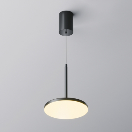 Подвесной светильник Maytoni Technical Plato P076PL-L12W3K-B 