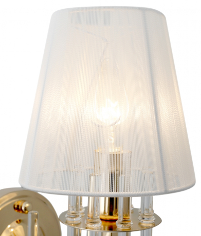 Бра в комплекте с Led лампами Rivoli Б0054949+Lamps 