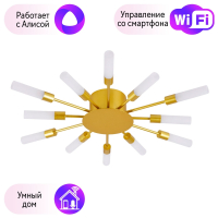 Потолочная люстра Arte Lamp Maple с поддержкой Алиса A1276PL-12GO-A