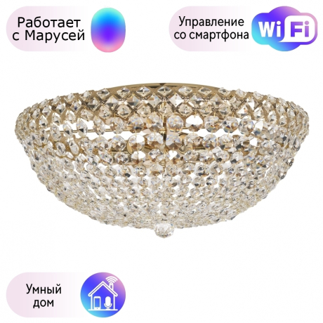 Потолочная люстра хрустальная Arti Lampadari Asti с поддержкой Маруся Asti E 1.2.50.100 G-М 