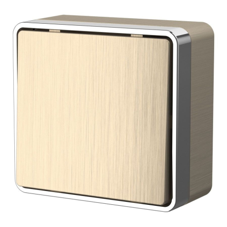 Выключатель одноклавишный Werkel Gallant (шампань рифленый) W5010010