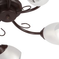 НЕ ПУБЛИКОВАТЬ!!! ЗАПРЕЩЕНЫ ПРОДАЖИ! Потолочная люстра Vitaluce V3715/5P