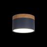 Накладной светильник Loft it Grape 10162 Blue 