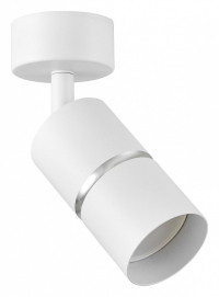 Спот Lampit ASTI TS TK40-C1 WT+CHR