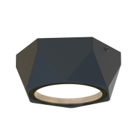 Накладной светильник Favourite Fantum 4670-1U