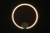 Светильник настенный Aployt Alice APL.055.11.09