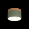 Накладной светильник Loft it Grape 10162 Green 