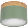 Накладной светильник Loft it Grape 10162 Green 