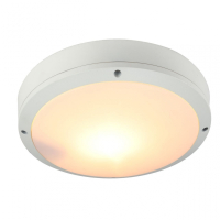 A8154PF-2WH Уличный потолочный светильник Arte Lamp City