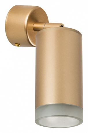 Спот Lightstar Rullo RB4401030 