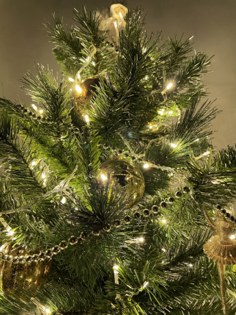 Светодиодная гирлянда ЭРА нить 220V теплый белый ENIN-10B Б0041894