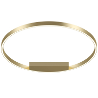 Потолочный светодиодный светильник Maytoni Technicall Rim MOD058CL-L50BS4K