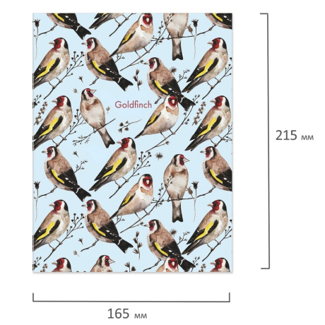 Нарушена упаковка!  <371505> Тетрадь на кольцах А5 (165х215 мм), 120 листов, твердый картон, клетка, BRAUBERG, Щеглы, 404079 (404079)