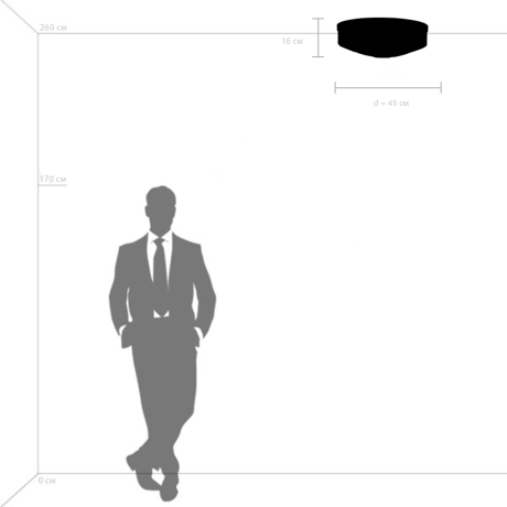 Светильник потолочный с Led лампочками в комплекте Lightstar 720222+Lamps 