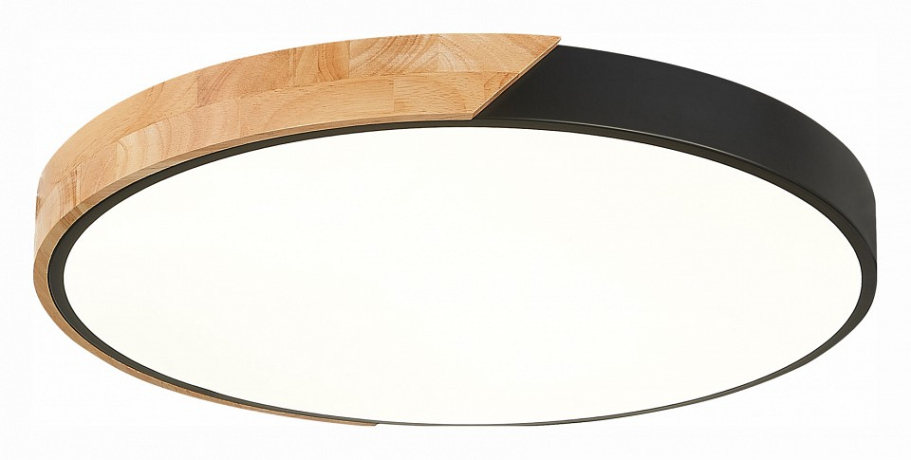 Накладной светильник EVOLUCE Festa SLE200942-01 