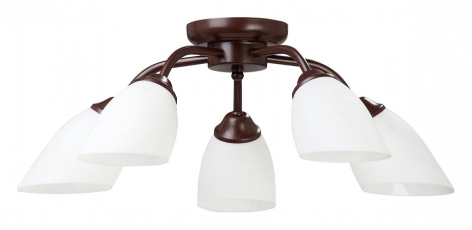 Потолочная люстра Vitaluce V3184 V3252/5PL 