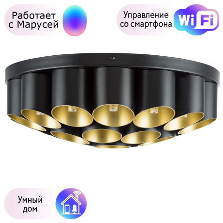 Потолочный светильник Lightstar с поддержкой Маруся Siena 720227 