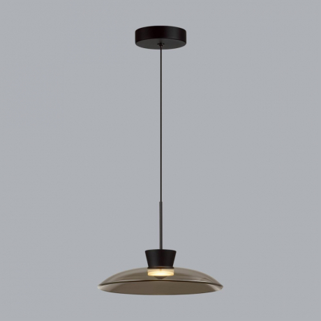 Подвесной светильник Odeon Light Saucer L-Vision 5055/9L 