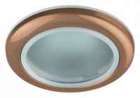 Точечный встраиваемый влагозащищенный светильник Эра WR1 SC C0043844