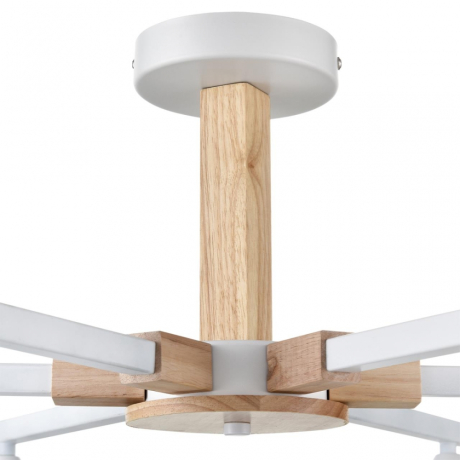 Люстра на штанге Lumion Colange 8095/6C 