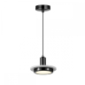 Подвесной светильник ST-Luce Oltarno SL1212.403.01 