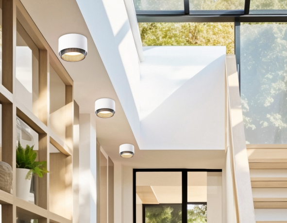 Накладной светильник Ambrella Light TN TN71271 