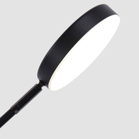 Настольная лампа Favourite Vorago 4572-1T 