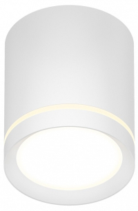 Точечный накладной светильник Denkirs DK4016-WH