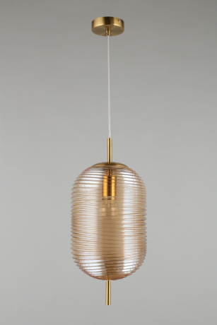 Подвесной светильник с лампочкой APLOYT APL.316.06.01+Lamps 