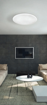 Накладной светильник Eglo Frania-S 97879