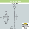 Парковый фонарь Fumagalli TABOR/Noemi E35.205.000.WXH27
