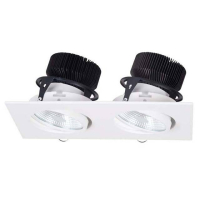 Витринный образец!  <54485> Dl18461/02WW-White SQ Dim Встраиваемый поворотный точечный светильник с диммером Donolux