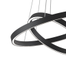 Подвесной светильник Maytoni MOD058PL-L55BK Rim 