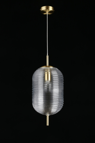 Подвесной светильник с лампочкой APLOYT APL.316.16.01+Lamps 