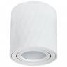 Накладной светильник Arte Lamp Fang A5559PL-1WH 