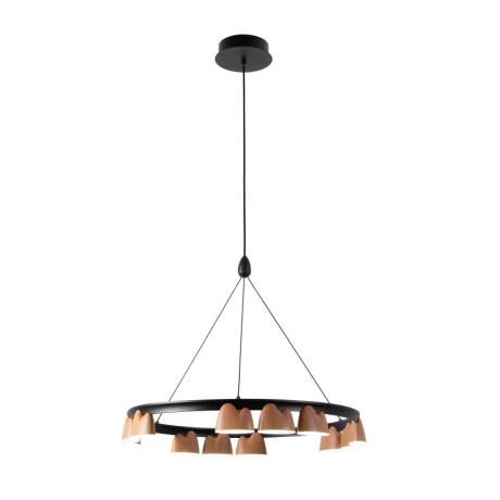 Подвесная люстра Favourite Interline 4266-12P 