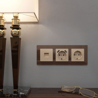 Накладка для телефонной розетки RJ-11 (шампань) Werkel W1192011