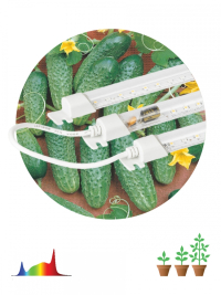 Модульный светильник для растений ЭРА FITO-3х10W-LINE-Ra90 полного спектра 30 Вт Б0049315