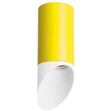 Накладной светильник Lightstar Rullo R43336 