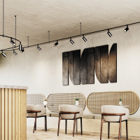 Трековый светильник Technical TR201-1-5W3K-M-B Focus Led