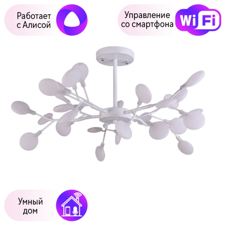 Люстра на штанге F-Promo Skein с поддержкой Алиса 2479-10P-A 