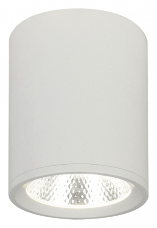 Накладной светильник Escada 20003 20003SMU/02LED SWH 