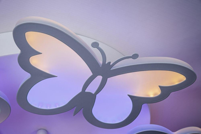 Потолочная диммируемая люстра с пультом ДУ Escada Butterfly 10205/5LED 