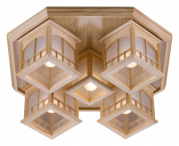 513-717-05 Потолочный светильник Velante